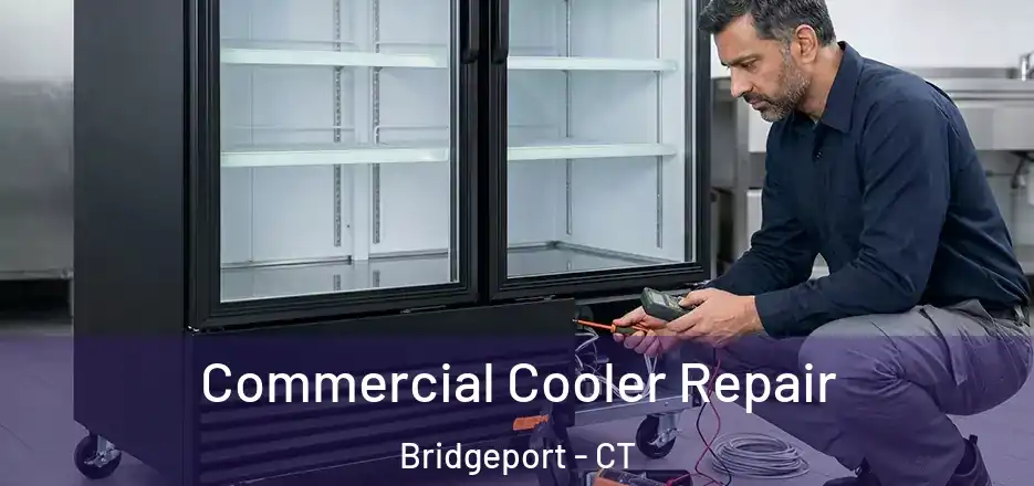  Commercial Cooler Repair Bridgeport - CT