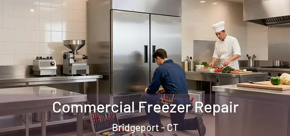  Commercial Freezer Repair Bridgeport - CT