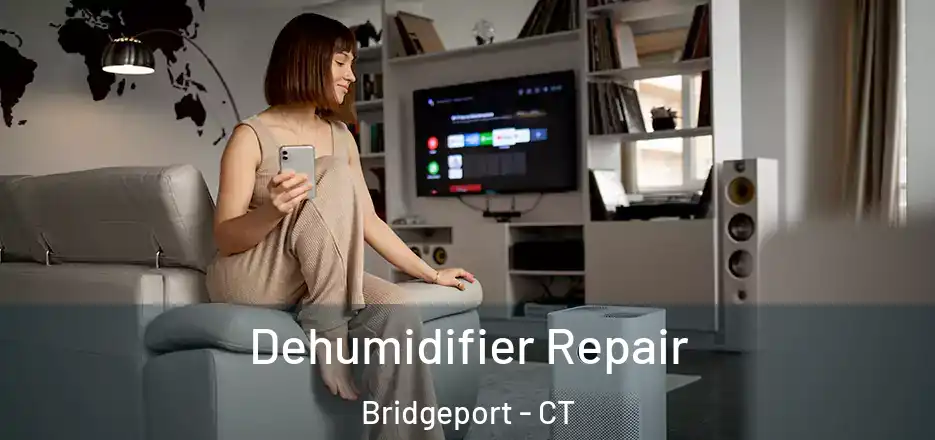  Dehumidifier Repair Bridgeport - CT