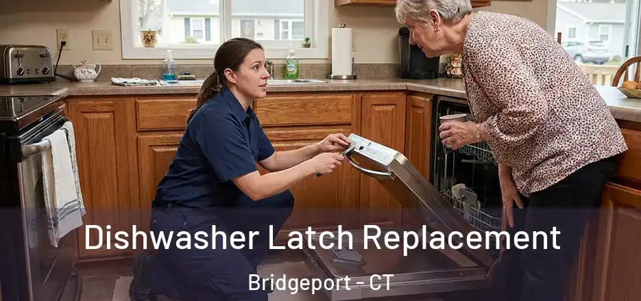  Dishwasher Latch Replacement Bridgeport - CT