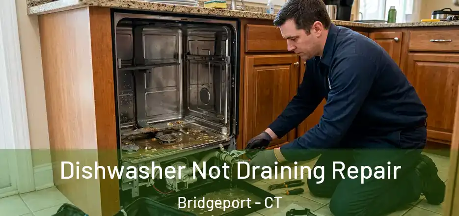  Dishwasher Not Draining Repair Bridgeport - CT