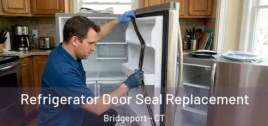  Refrigerator Door Seal Replacement Bridgeport - CT
