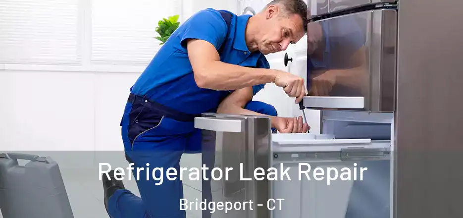  Refrigerator Leak Repair Bridgeport - CT
